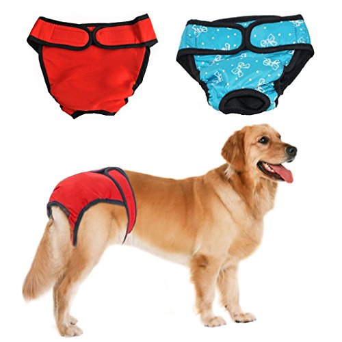 Compare price to dog panties for dogs in heat