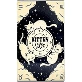 DMDMBSR Cat Tarot Cards Deck – 78-Card Whimsical Cat-Themed Tarot Set with Guidebook, Beginner-Friendly Oracle Cards for Intuition Reading, Spiritual Reflection & Witchy Aesthetic Collection