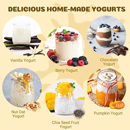 Flexzion Yogurt Maker Machine, Greek Yogurt Maker with Glass Jars