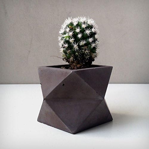 Black Single Tier Geometric Planter / Concrete Pot / Small Succulent Planter