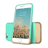 iPhone 6 Case, Flexion [Euphoria Series] Ultimate Protection Scratch Proof Soft Interior Vibrant Hard iPhone 6 Case / iPhone 6S Case (4.7) (Aqua Blue/Gold)