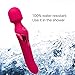 Radiant Lotus - Nelu Wand Massager | Waterproof | USB Rechargeable | Powerful Multi Speed | Handheld Personal Massager