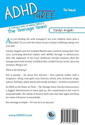 Adhd To The Power Of Three The Sequel A Mothers Story Of - 