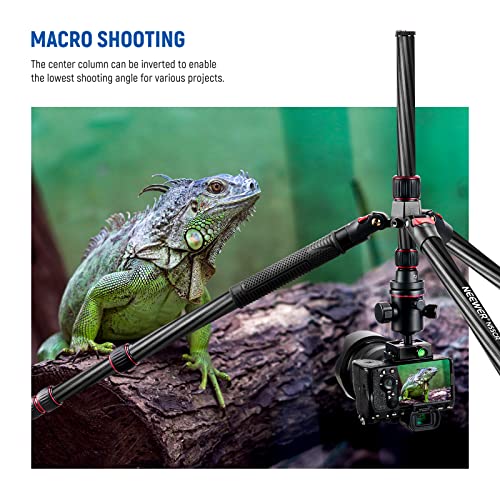 NEEWER Upgraded 80.7” Carbon Fiber Camera Tripod Monopod with Telescopic 2 Section Center Axes, 360° Ball Head,1/4” Arca Type QR Plate, Travel Tripod for DSLR Panoramic Shot, Max. Load 26.5lb, N55CR