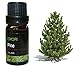 Pine - 100% Pure Therapeutic Grade Essential Oil 10ML