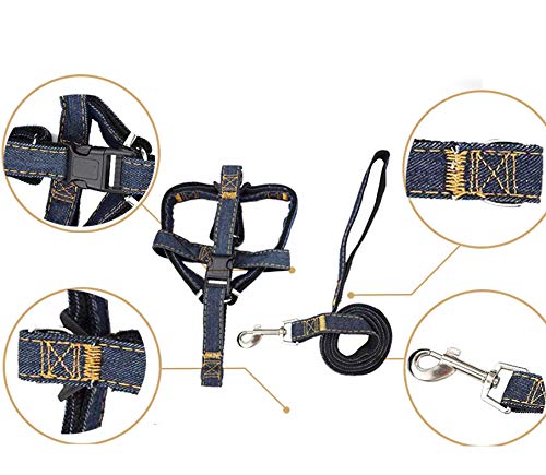 Aida\'s best Adjustable Leash for Medium Dog Harnesses Leash for Large Dog Nylon Black Breakaway Heavy Duty