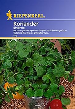 Sperli Gemüsesamen Koriander einjährig, grün