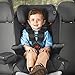 Chicco MyFit LE Harness + Booster Car Seat, Starlet