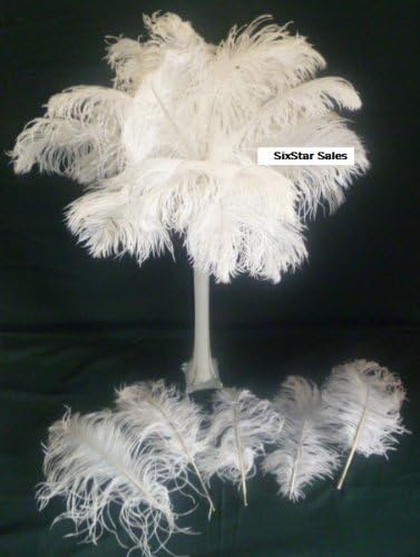 Ostrich Feathers Wholesale Bulk 12-17" Long Deluxe Tail Feathers Bleach White Qty 100 by Six Star Sales