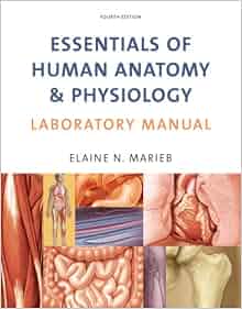download handbook of