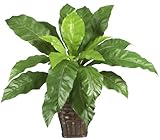 Nearly Natural 6530 Bird Nest Fern with Wicker Basket, Green