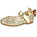 Maxu Girls Fashion Mary Jane Party Dress Shoe