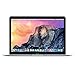 Apple MacBook Silver 12-Inch Laptop with Retina Display - 1.2GHz Dual-Core Intel Core M, 512GB Flash Storage, 8GB DDR3 Memory, OS X Yosemite (2015 Version)