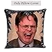 Mermaid The Office Merchandise Sequin Pillow Covers Dwight Schrute Magic Reversible Sequin Cushion Cover Decorative Pillowcase That Change Color (L The Office-Black Sequins)