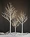 Lightshare 6FT 72L LED Birch Tree,Warm White