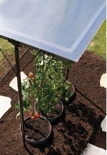 Gartenwelt Riegelsberger Bellissa 90450 Techo para plantas y ...