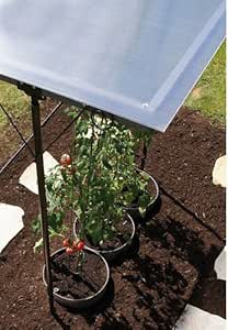 Gartenwelt Riegelsberger Bellissa 90450 Techo para plantas y ...