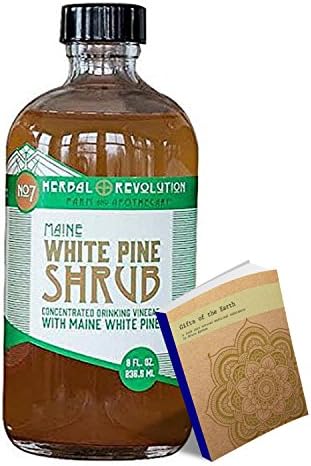 White Pine Shrub Raw Apple Cider Vinegar Maine White Pine Needles Raw Honey 8oz Individually boxed from Herbal Revolution Farm and Apothecary w/ Free Herbs Info Ebook (White Pine Shrub, 8oz)