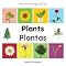 Livro My First Bilingual Book–Plants (English–Portuguese)