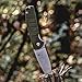 Kizer Cutlery Folding Pocket Knives Flipper Knife Green G10 Handles Tactical Knife, Kizer Gemini Ray Laconico V3471N2