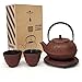 Happy Sales HSCT-BMR05, Cast Iron Tea Pot Tea Set Bamboo Red