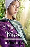 A Woodland Miracle (The Amish Wonders Series) by Ruth Reid