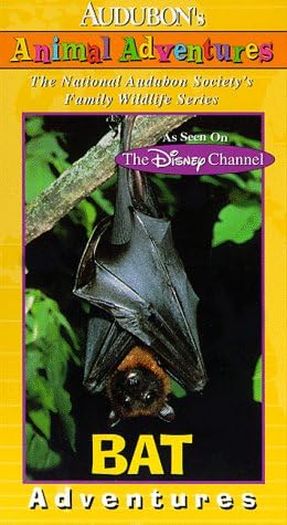 Amazon.com: Audubon's Animal Adventures: Bat [VHS]: Brad Kane: Movies & TV
