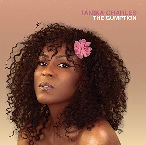 The Gumption en promo sur Amazon