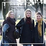 BRAHMS:PIANO TRIOS 1-4                             image