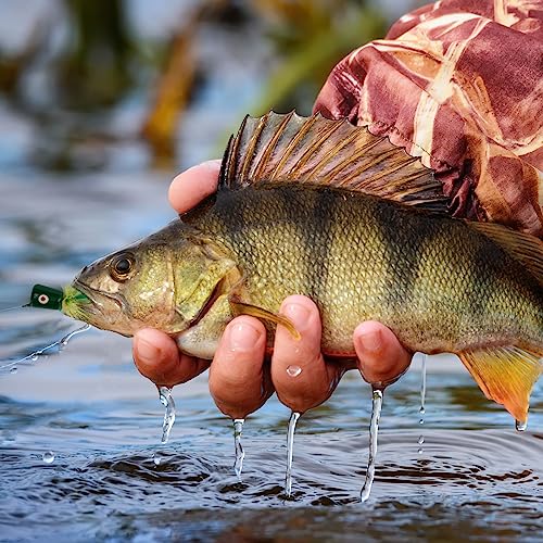 Goture Fly Fishing Poppers Lures,Topwater Popper Flies Bugs Lures