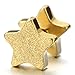 2pcs Gold Star Screw Stud Earrings for Men Women, Steel Cheater Fake Ear Plugs Gauges, Satin Finished