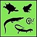 Auto Vynamics - STENCIL-REPTILESET01-10 - Detailed Lizards & Reptiles Stencil Set - Featuring Snakes, Frogs, Turtles, Gators, & More! - 10-by-10-inch Sheet - (2) Piece Kit - Pair of Sheets