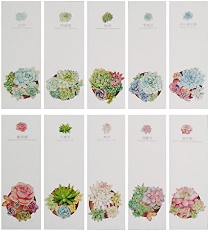 FANTAC CRAFTS 30 Pcs Set Chinese Brush Painting Scenery Paper Bookmark Feature Creative Book Page Marker Colorful (Succulent Plant)