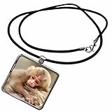 3dRose Danita Delimont - Monkeys - Snow Monkey Baby, Jigokudani, Nagano, Japan-AS15 RTI0483 - Rob Tilley - Necklace With Rectangle Pendant (ncl_73485_1)