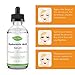 Hyaluronic Acid Serum by Fiery Youth Suitable for All Skin Types-Natural Skin Care With Green Tea Aroma- Anti Aging and Wrinkle/Sunburn Care/Hydrate and Brightening Skin 4 fl.oz