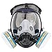 Trudsafe Complete Suit 6800 Reusable Full Face Respirator for Painting, Polishing, Welding and Dust, 2 Kinds of Connectors, Gas Cover Respirator with Organic Vapor Filter