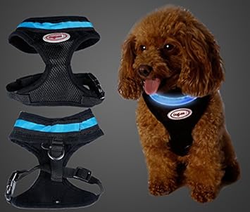 Flashing led dog harness