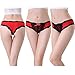Muledy 5 -Pack Women’s Panties Underwear Hipster Panties Sexy Lace Briefs for Cotton (Small, Color 5 Packs)
