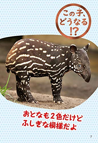 だれの子 マジで違いすぎ 動物親子写真図鑑 講談社 坂東 元 本 通販 Amazon