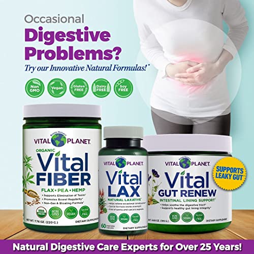 Vital Vital Gut Renew Powder Supplement Formulated with L