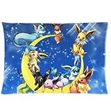 Lovely Pokemon Moon Eevee Custom Design Personalized Pillowcase Pillow Sham Queen Size Pillow Cushion Case Cover Two Sides Printed 20*30 inches Inches