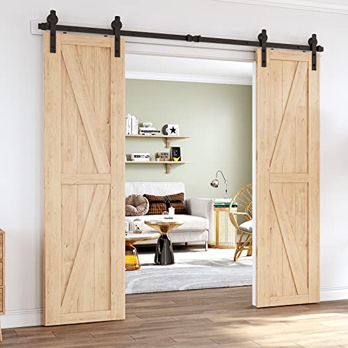 HomLux 8ft Heavy Duty Sturdy Sliding Barn Door Hardware Kit, Double