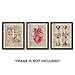 SUMGAR Vintage Prints Wall Art Human Anatomy Posters 8x10 Dictionary Unframed Prints Sechars - Abstract Human Brain Rib Cage Heart with Red Rose Painting Set of 3