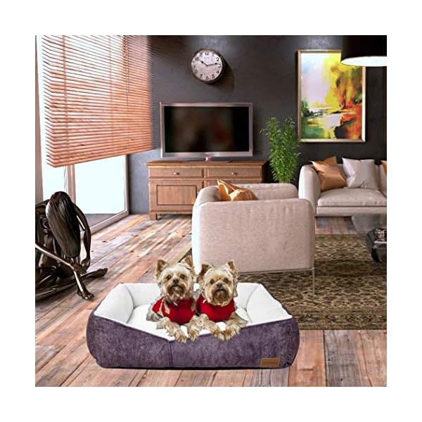 Comfortable Square Pet Bed Simple Design - Image 8