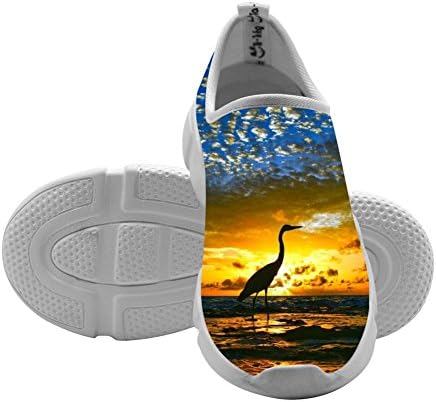 Bird Horizon Kids Free Sports Shoes 2018 Fashion Running Shoes For Girls 10 B(M)