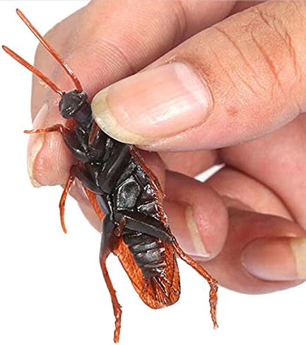 cockroach toy