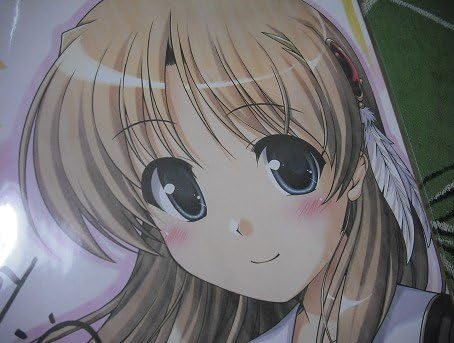 Amazon 穢翼のユースティア フィオネ描き下ろし色紙べっかんこう イラスト フィオネシルヴァリア Pcゲーム オーガスト August アニメ 萌えグッズ 通販