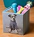 Clever Creations Dog's Rule Collapsible Storage Organizer Cube Folding Storage Organizer for Animal Themed Rooms | Perfect Size Storage Cube for Books, Shoes, Games