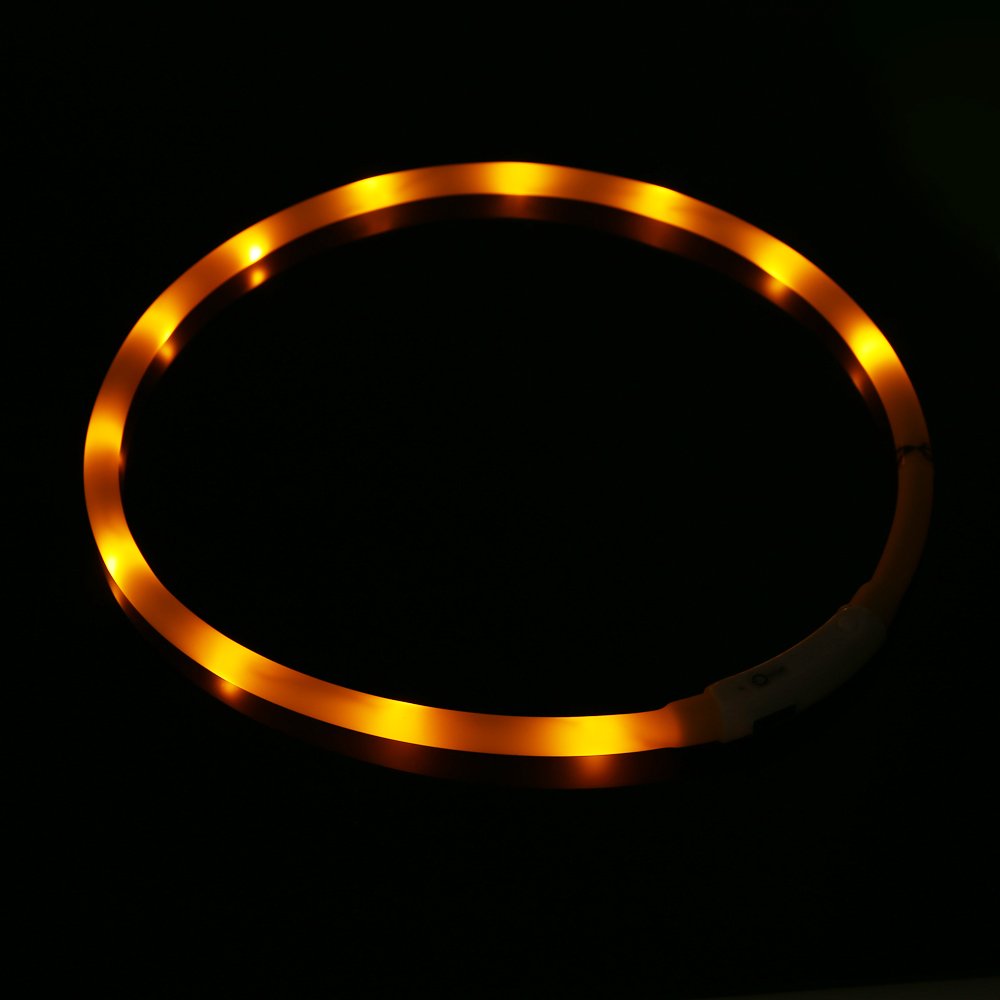 ZOGIN Collar de perro LED, collar de seguridad recargable USB para perro gato y otro animal doméstico, color amarillo