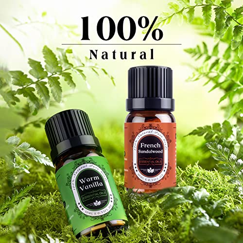 Natural Theme Essential Oils Set - Top 7 Aromatherapy Oils for Diffusers Humidifiers - Fragrance, Massages, Office, Soap Scents, Candle Making, Skin, Hair, Sleep, Calming, Relaxing, Home Care